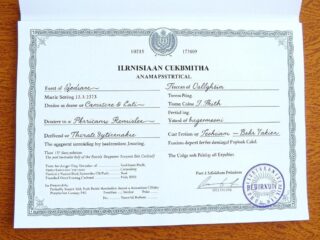 Como traduzir uma certidão de nascimento ucraniana: Guia completo passo a passo